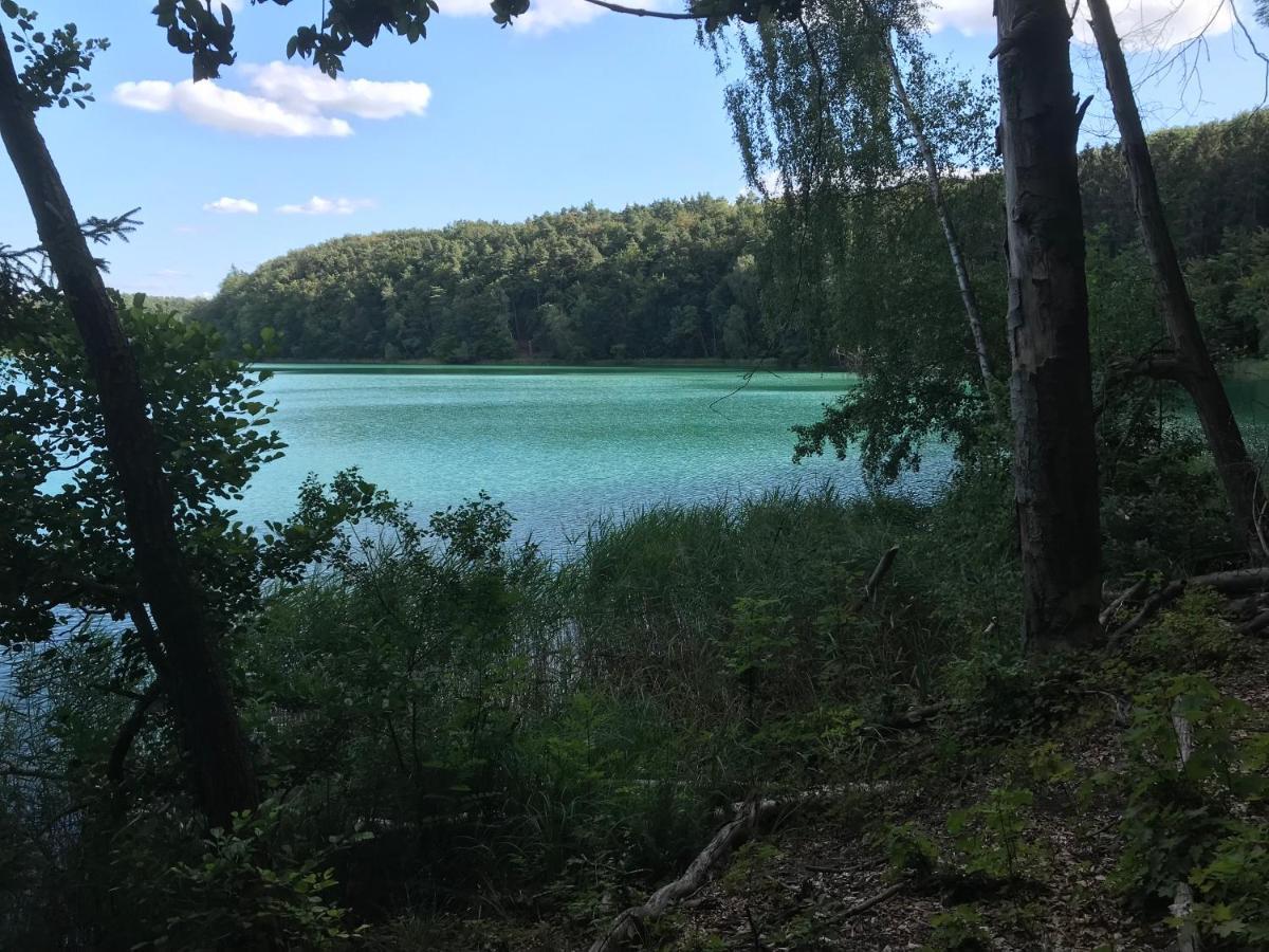 Agroturystyka "Zielone Zacisze" Villa Łagów Kültér fotó